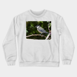 LE PANASONIC FZ 200 PAR OKAIO CRÉATION Crewneck Sweatshirt